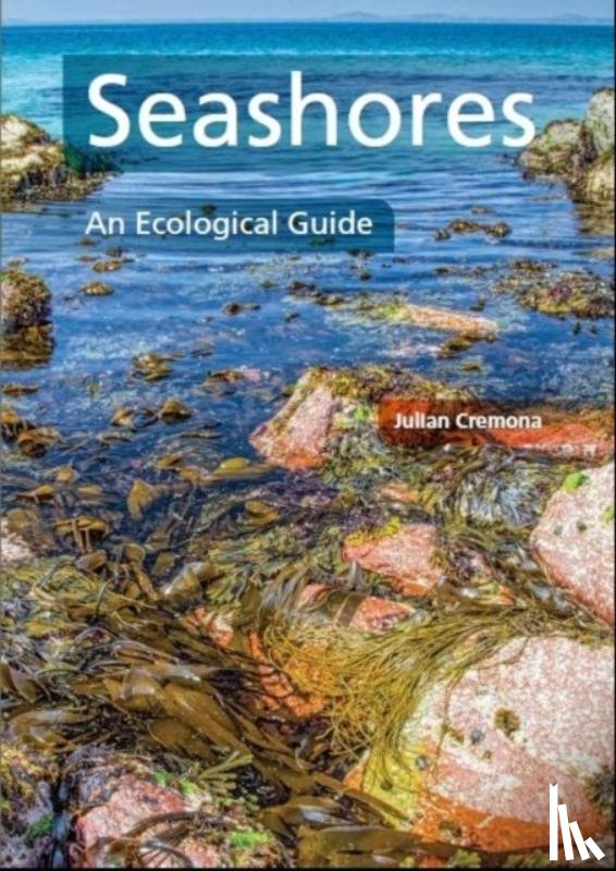 Cremona, Julian - Seashores
