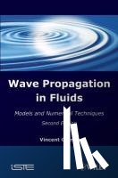 Guinot, Vincent (University of Montpellier - Wave Propagation in Fluids