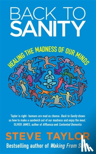 Taylor, Steve - Back to Sanity