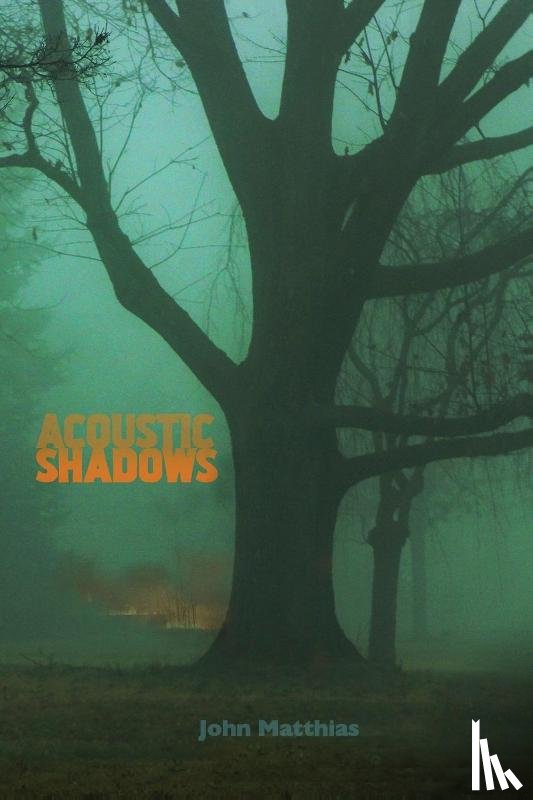 Matthias, John - Acoustic Shadows