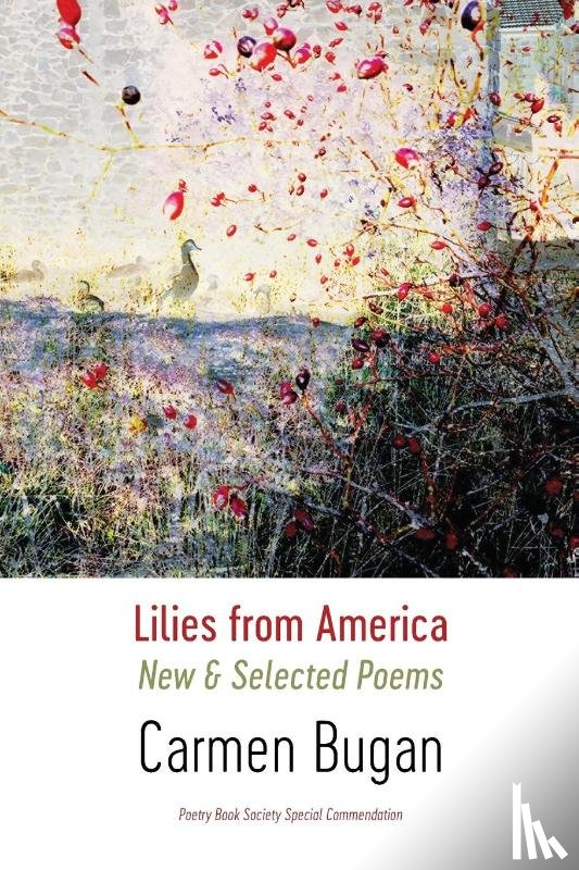 Bugan, Carmen - Lilies from America