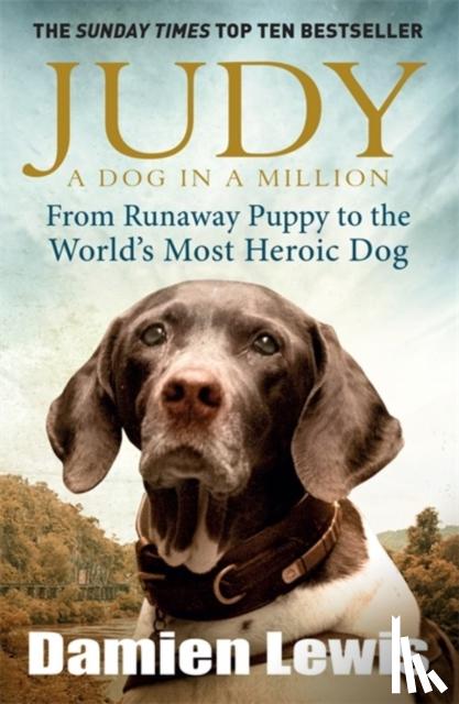 Lewis, Damien - Judy: A Dog in a Million