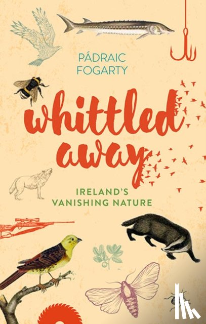 Fogarty, Padraic - Whittled Away
