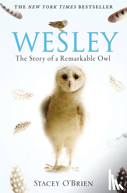 O'Brien, Stacey - Wesley