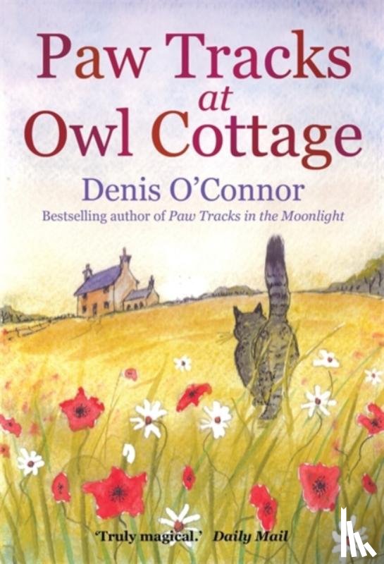 O'Connor, Denis John - Paw Tracks at Owl Cottage
