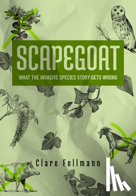Follman, Clare - Scapegoat