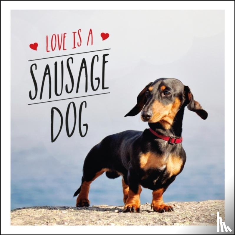 Ellis, Charlie - Love is a Sausage Dog