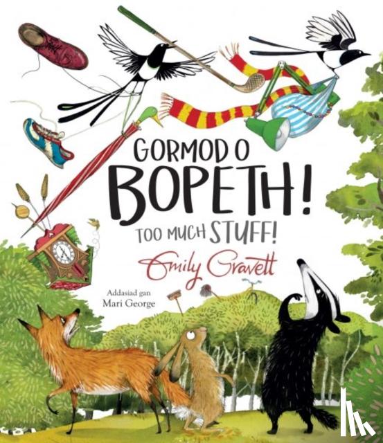 Gravett, Emily - Gormod o Bopeth! / Too Much Stuff!