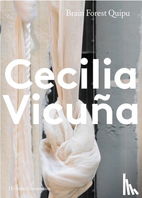  - Hyundai Commission: Cecilia Vicuna