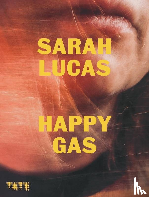  - Sarah Lucas