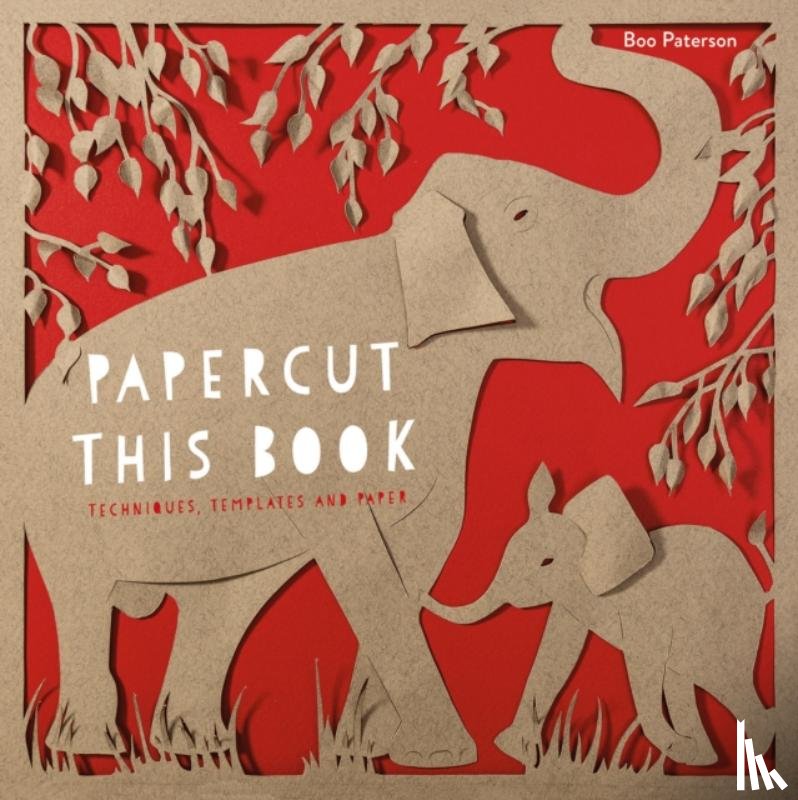 Paterson, Boo - Papercut This Book