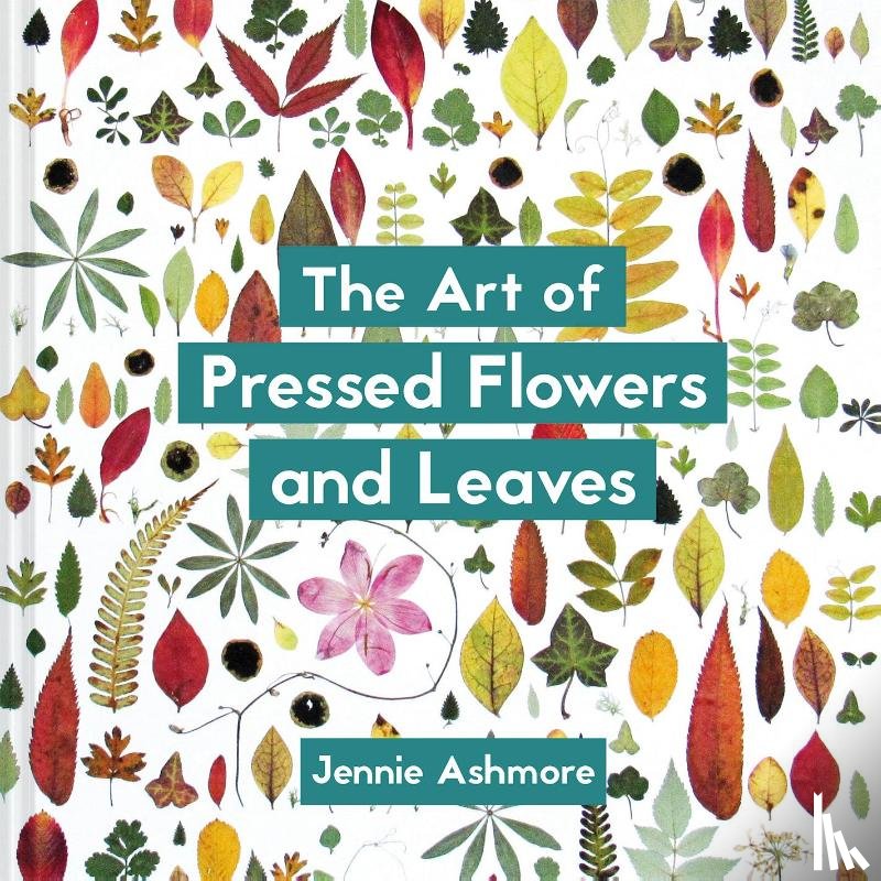 Ashmore, Jennie - The Art of Pressed Flowers and Leaves