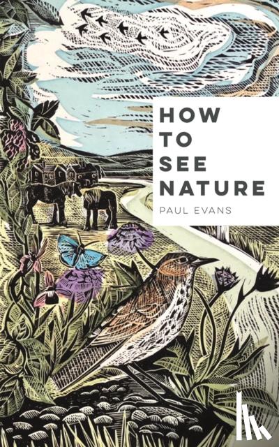 Evans, Paul - How to See Nature