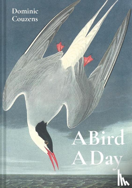 Couzens, Dominic - A Bird A Day
