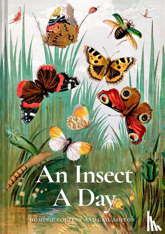 Couzens, Dominic, Ashton, Gail - An Insect A Day