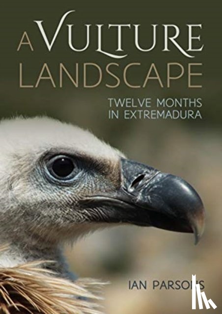 Parsons, Ian - A Vulture Landscape