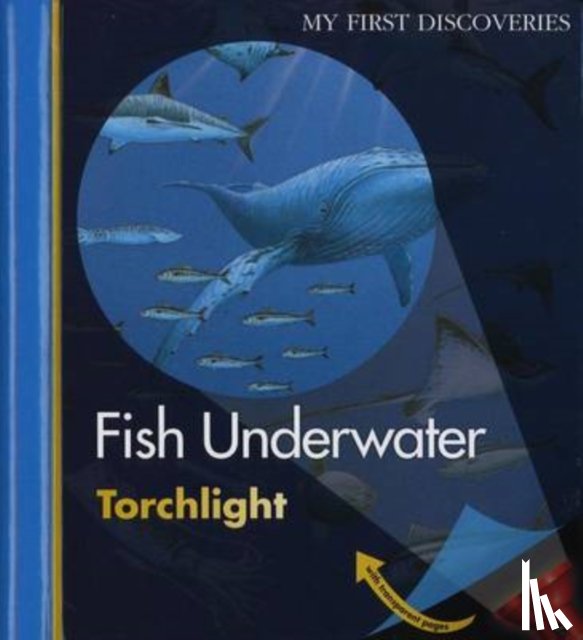 Delafosse, Claude - Fish Underwater