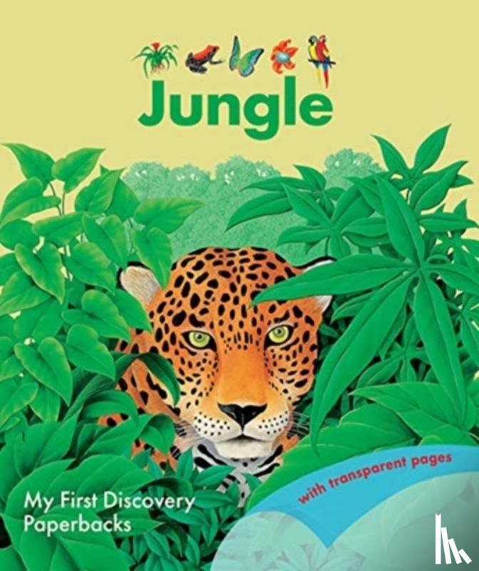 Mettler, Rene - The Jungle