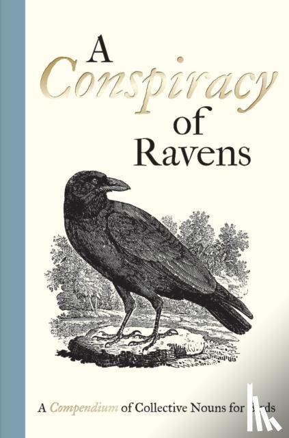  - A Conspiracy of Ravens