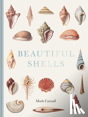 Carnall, Mark (B.Sc. (Hons) - Beautiful Shells