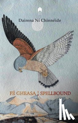 Chinneide, Dairena Ni - Fe Gheasa / Spellbound