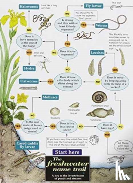 Orton, Richard, Bebbington, Anne, Bebbington, John - The Freshwater name trail