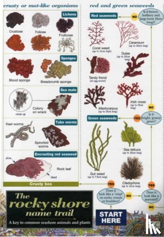  - Rocky Shore Name Trail Chart
