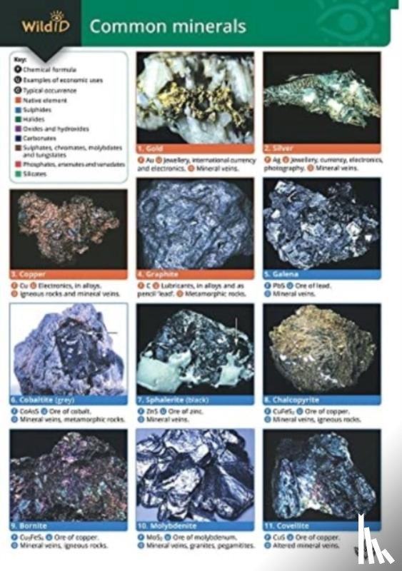 Pellant, Chris, Pellant, Helen - Guide to Common Minerals