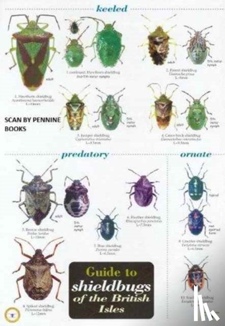 Nau, Bernard - Guide to Shieldbugs of the British Isles