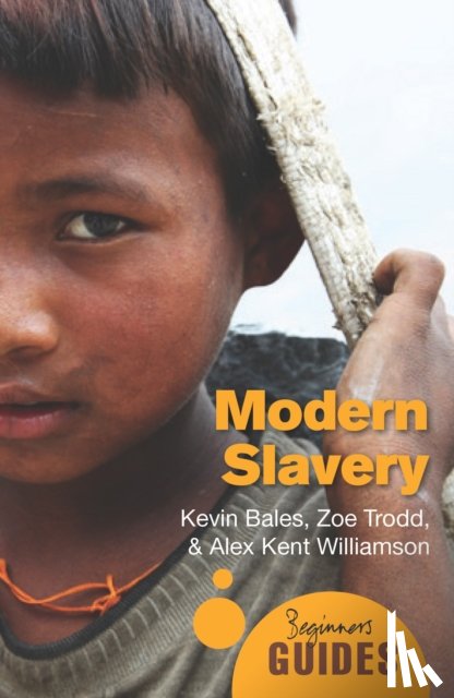Bales, Kevin, Trodd, Zoe, Williamson, Alex Kent - Modern Slavery