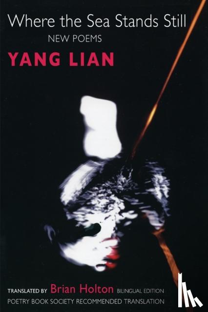Lian, Yang - Where the Sea Stands Still