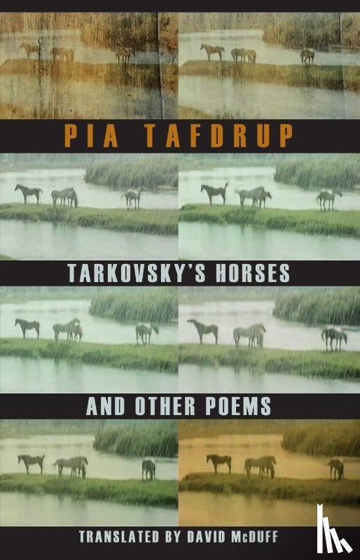 Tafdrup, Pia - Tarkovsky's Horses and other poems