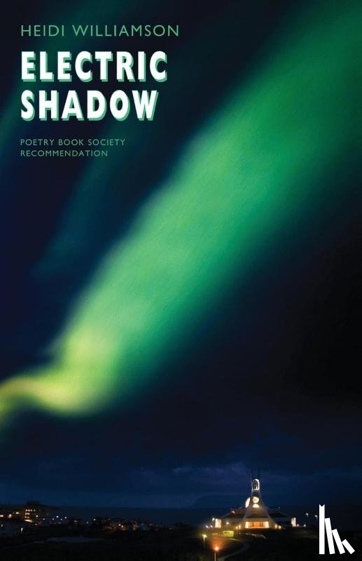 Williamson, Heidi - Electric Shadow