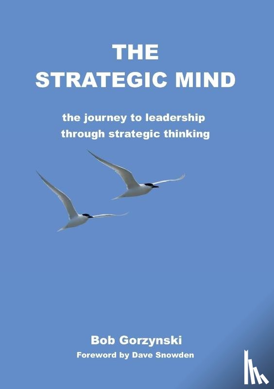 Bob Gorzynski - The Strategic Mind