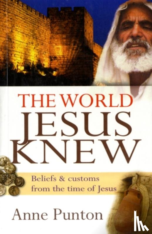 Punton, Anne - The World Jesus Knew