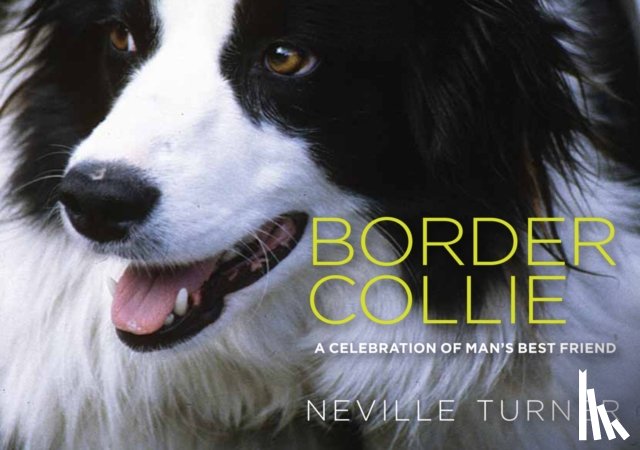 Turner, Neville - Border Collie