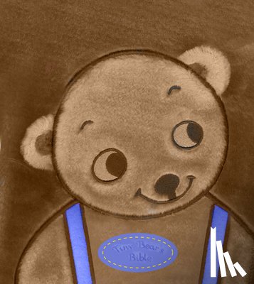Lloyd Jones, Sally - Tiny Bear Bible