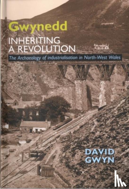 Gwyn, David - Gwynedd, Inheriting a Revolution