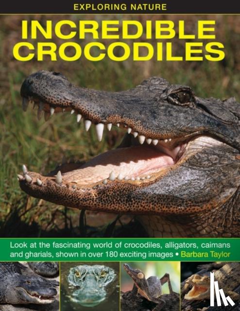 Taylor, Barbara - Exploring Nature: Incredible Crocodiles