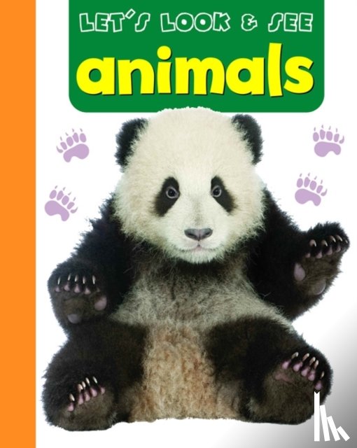 Armadillo - Let's Look & See: Animals
