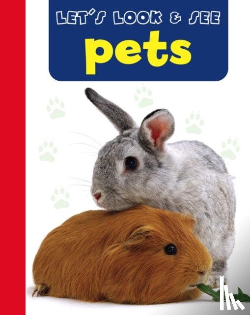 Armadillo - Let's Look & See: Pets