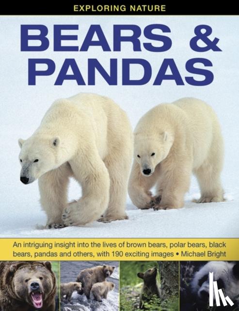 Bright, Michael - Exploring Nature: Bears & Pandas