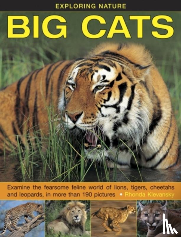 Klevansky, Rhonda - Exploring Nature: Big Cats