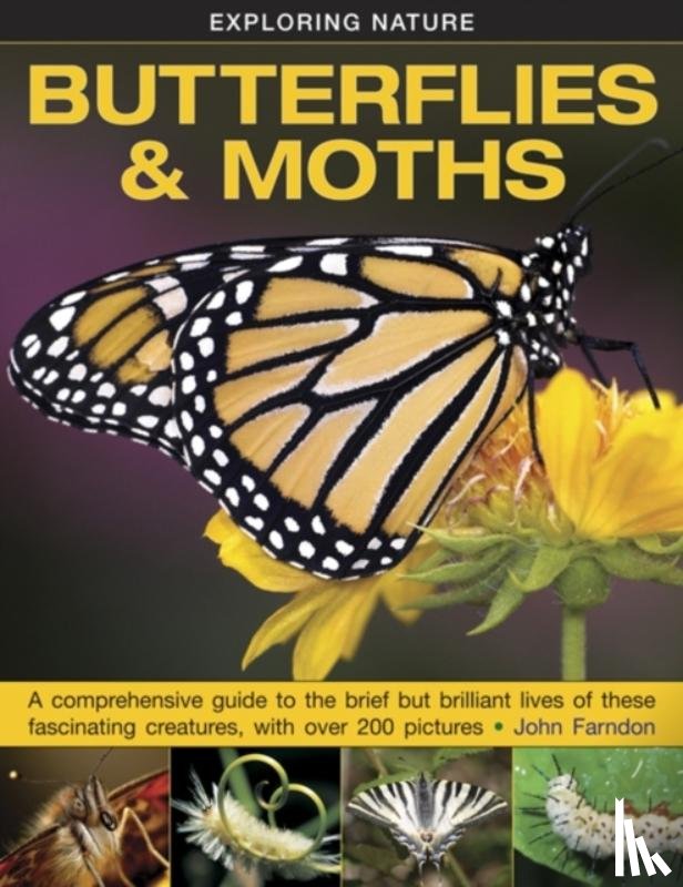 Farndon John - Exploring Nature: Butterflies & Moths
