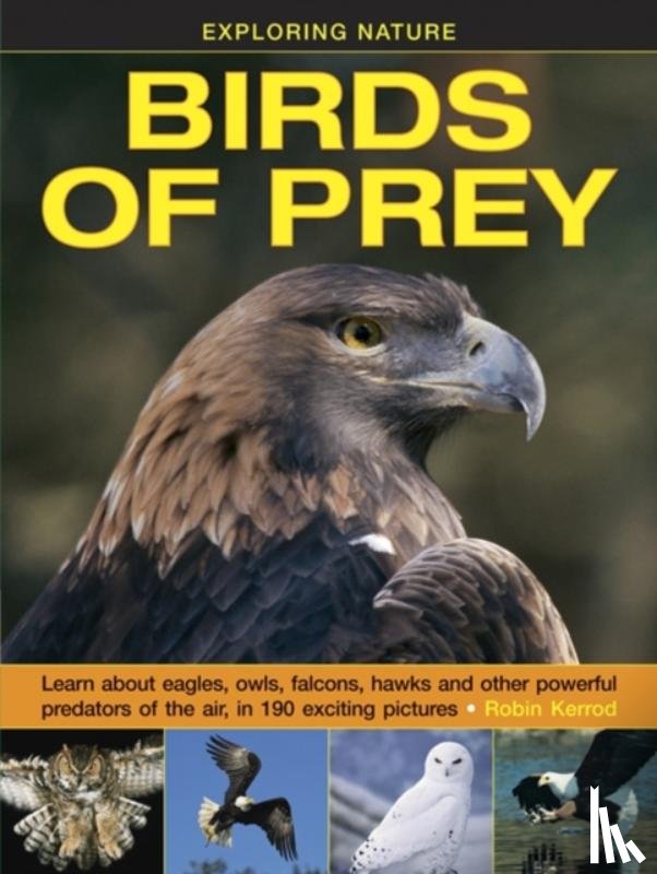 Kerrod Robin - Exploring Nature: Birds of Prey