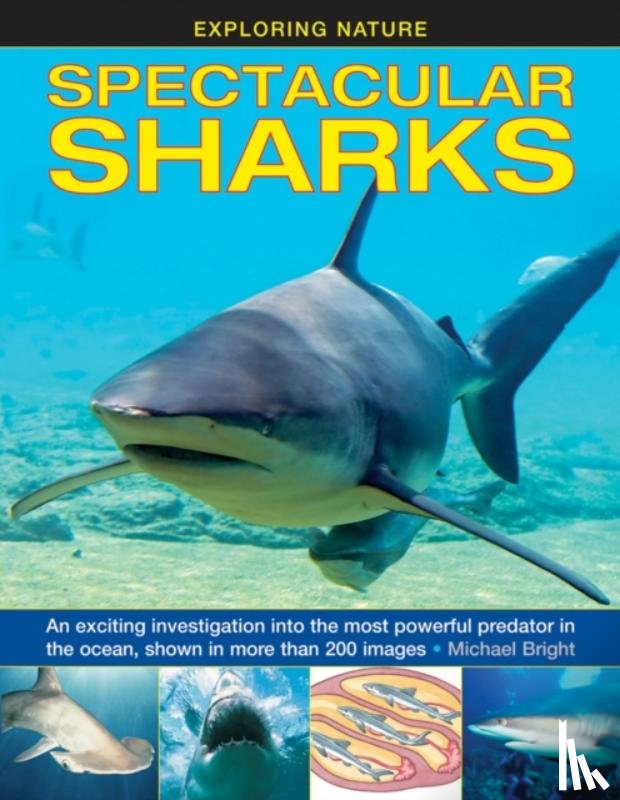 Bright Michael - Exploring Nature: Spectacular Sharks