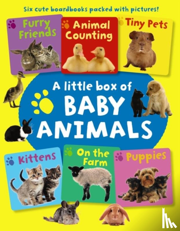 Press Armadillo - Little Box of Baby Animals
