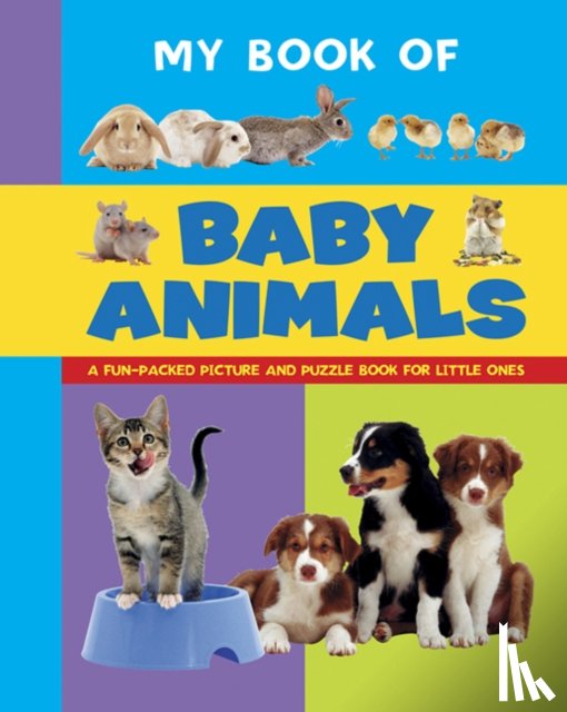 Armadillo - My Book of Baby Animals
