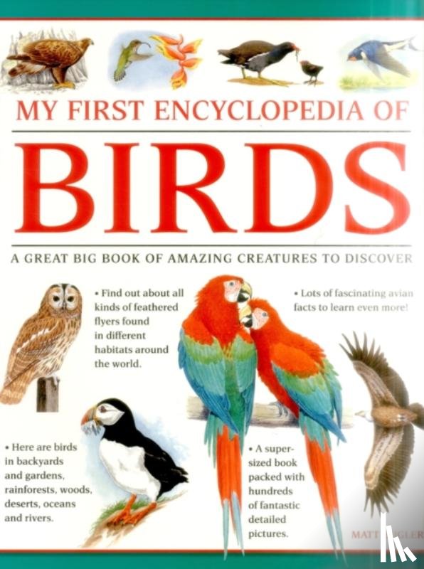 Bugler Matt - My First Encylopedia of Birds (giant Size)