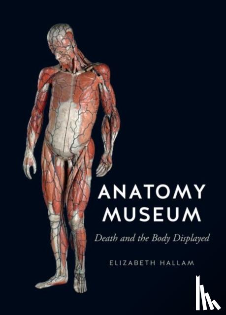 Hallam, Elizabeth - Anatomy Museum